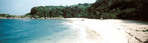 photo_img