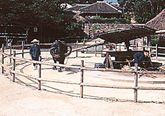 photo_img